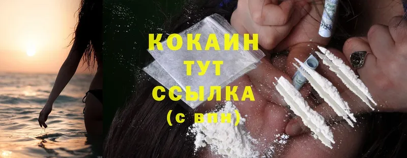 Cocaine Columbia  где можно купить   это телеграм  Каргат 